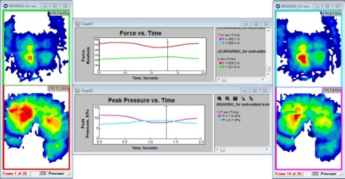 FORCE MAPPING分析軟件